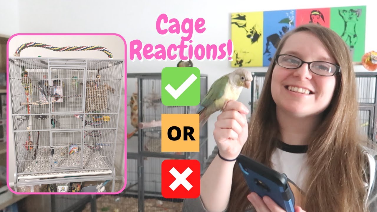 Reacting to My Subscribers’ Bird Cages! #8 | BirdNerdSophie