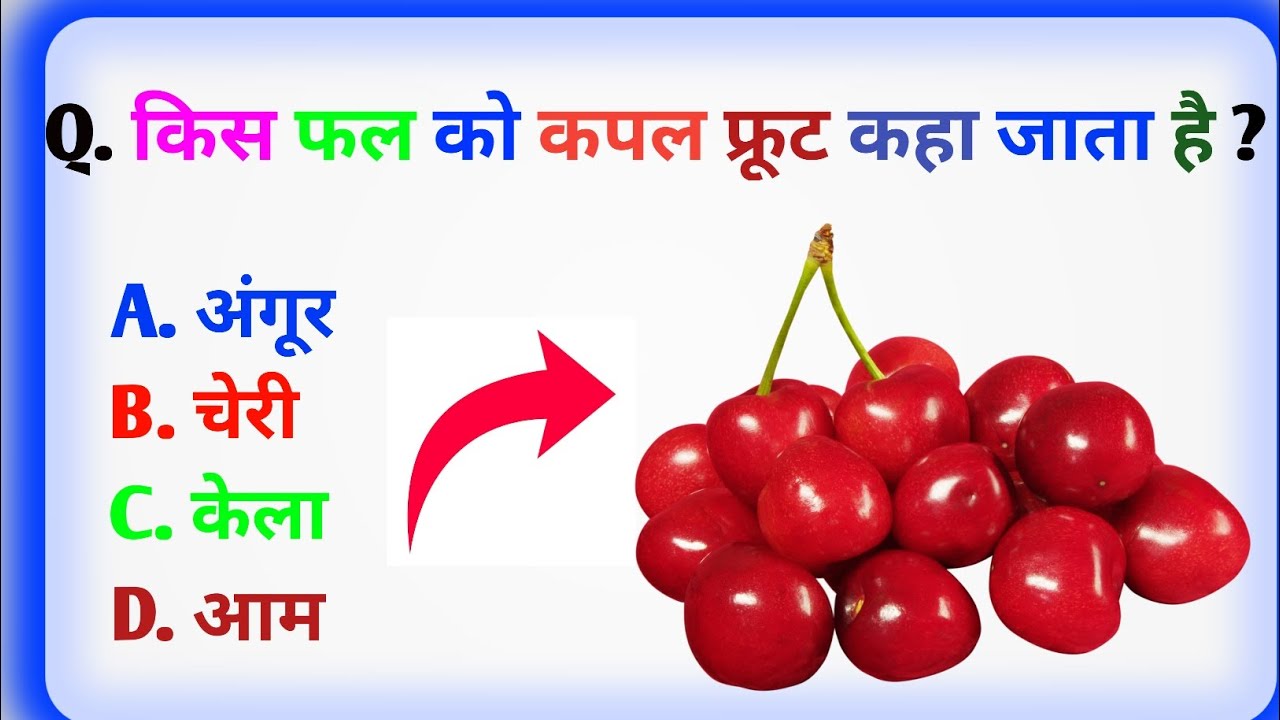 GK questions || gk questions and Answer || gk quiz || #BCMRA GK STUDY || सामान्य ज्ञान || फ्रूटी 