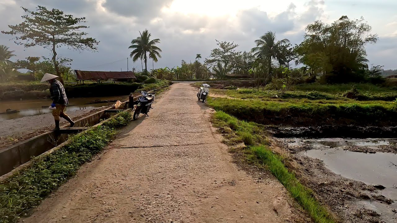 Driving in Vietnam POV • Rice Fields of Hoi An • 🇻🇳