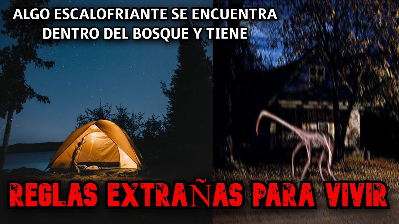Fui Acampar En Medio del Bosque Pero Tenia Reglas Muy Extrañas -Historias terror Reddit Español
