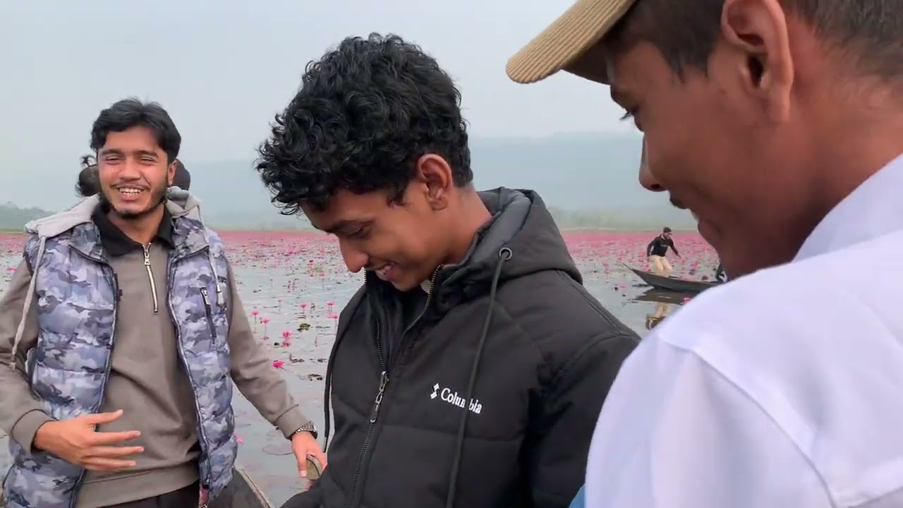 সিজনের শেষ দিকের শাপলা বিল-ডিবির হাওর , জৈন্তাপুর , সিলেট।  New Sylhity Vlog-2026