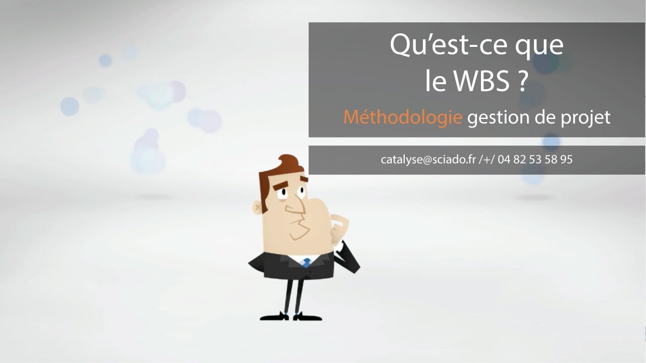 WBS