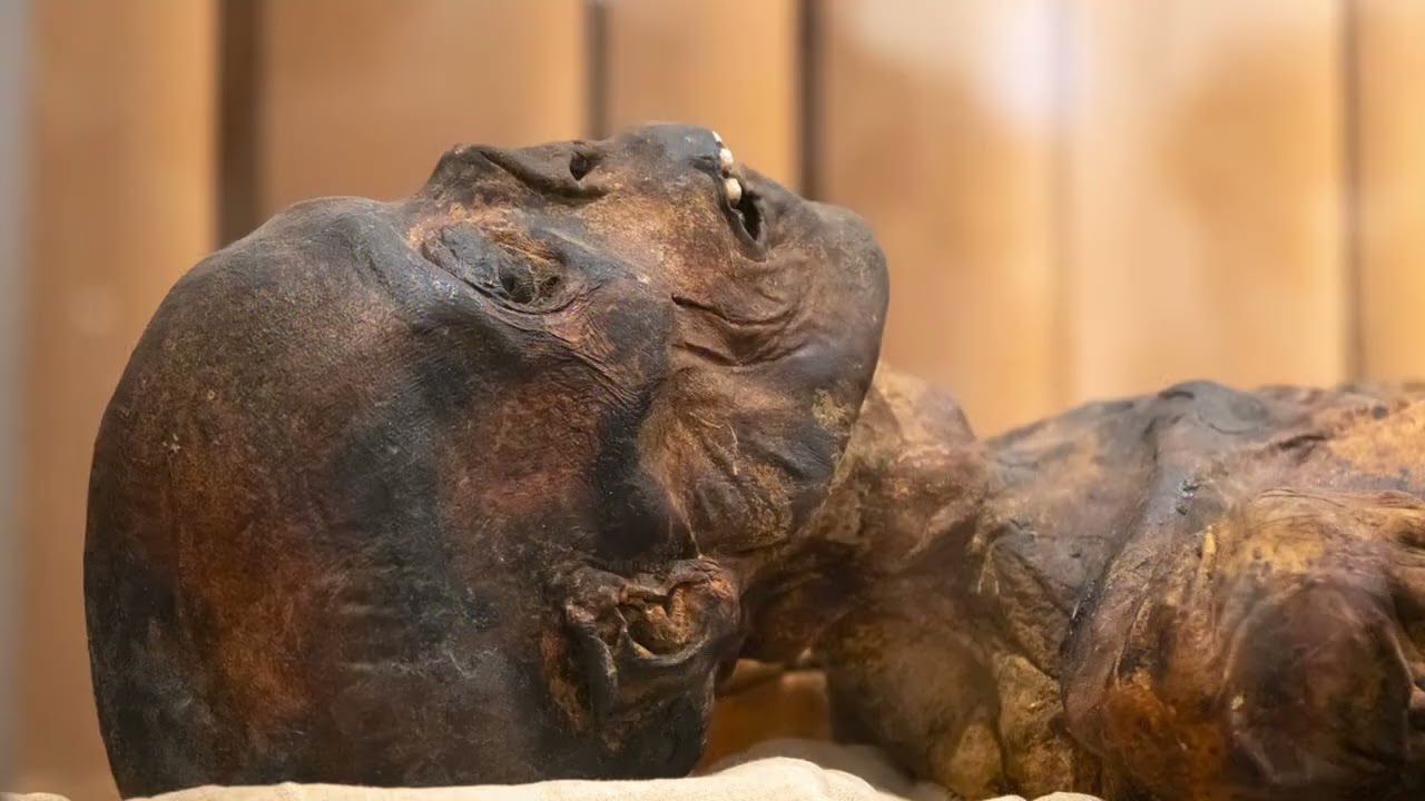 Что делать с трупом и его мавзолеем? 2 часть