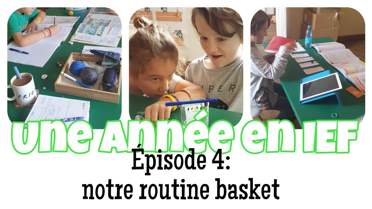 Une année en IEF - épisode 4