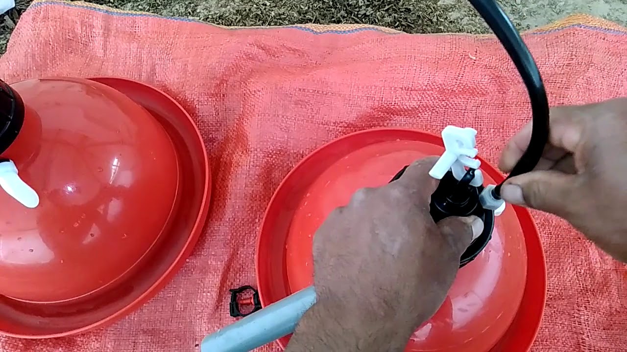 como instalar bebederos automáticos tipo campana.para pollos de engorde