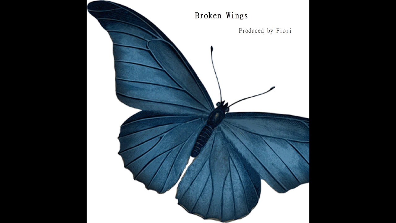 Broken wings (Prod. by Fiori Beats)