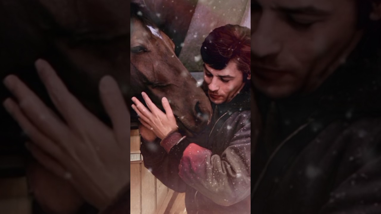 Alain DELON & His Horse. Memory.