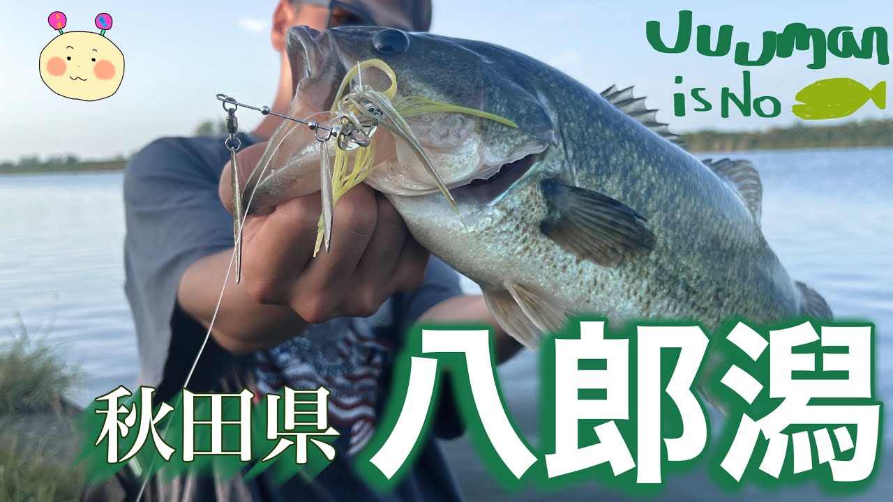 【ビーブル】夏の八郎潟でバイト連発！！！【ボトムアップ】#40