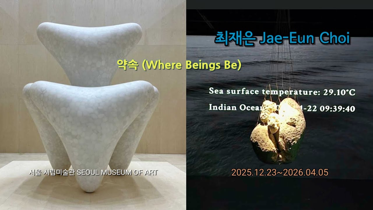 [무료전시] 한국 현대미술 대표작가 최재은 개인전 《약속》 Where Beings Be,자연과 인간과의 약속,#전시추천,#현대미술, #SeMA,#서울전시,#art,#서울시립미술관 