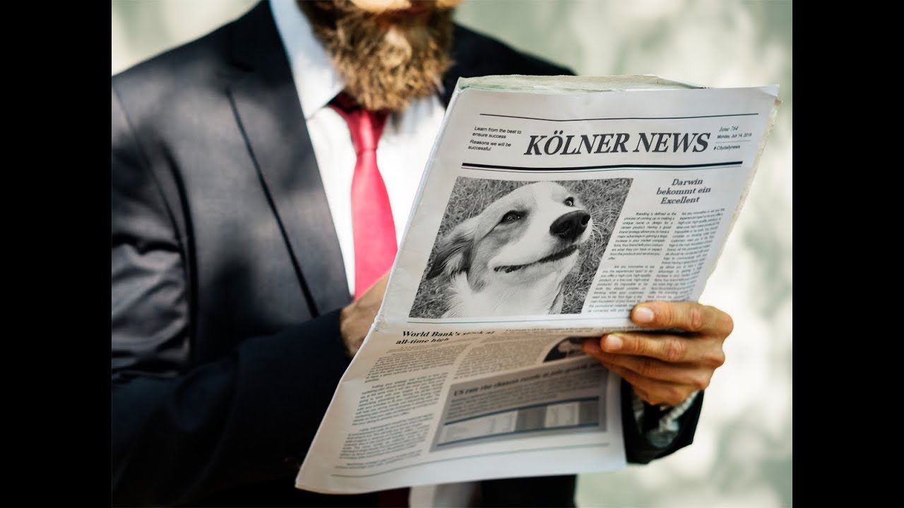 Eurodogshow 2021 in Kortrijk   Belgien | Kooiker Darwin vom Elsebachtal