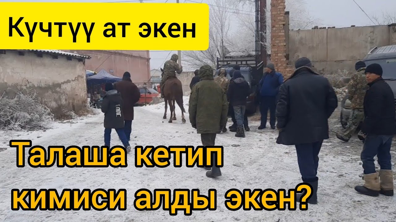 116 миңге алайын десе ЭЛ талашып кетип канчага сатылды экен? ~ БЫШТЫ катуу ат экен