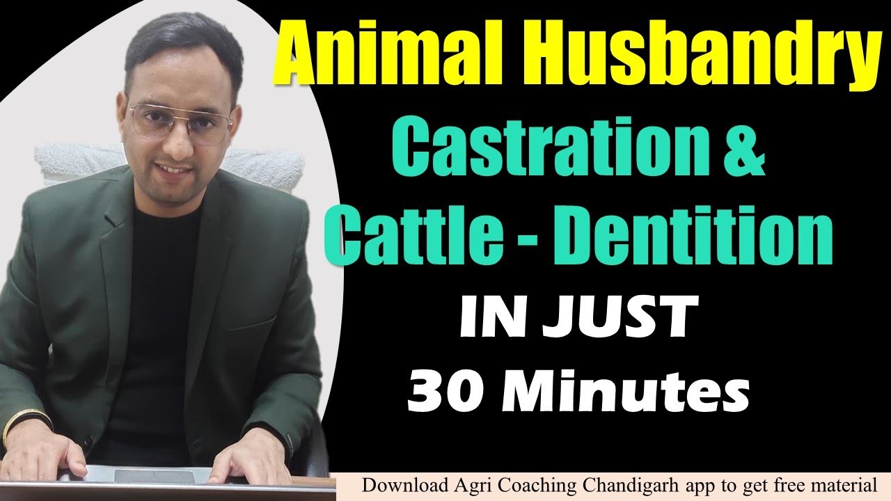 Animal Hus.-1 | Castration & Methods |  Cattle - Dentition and Ageing of Cattle |