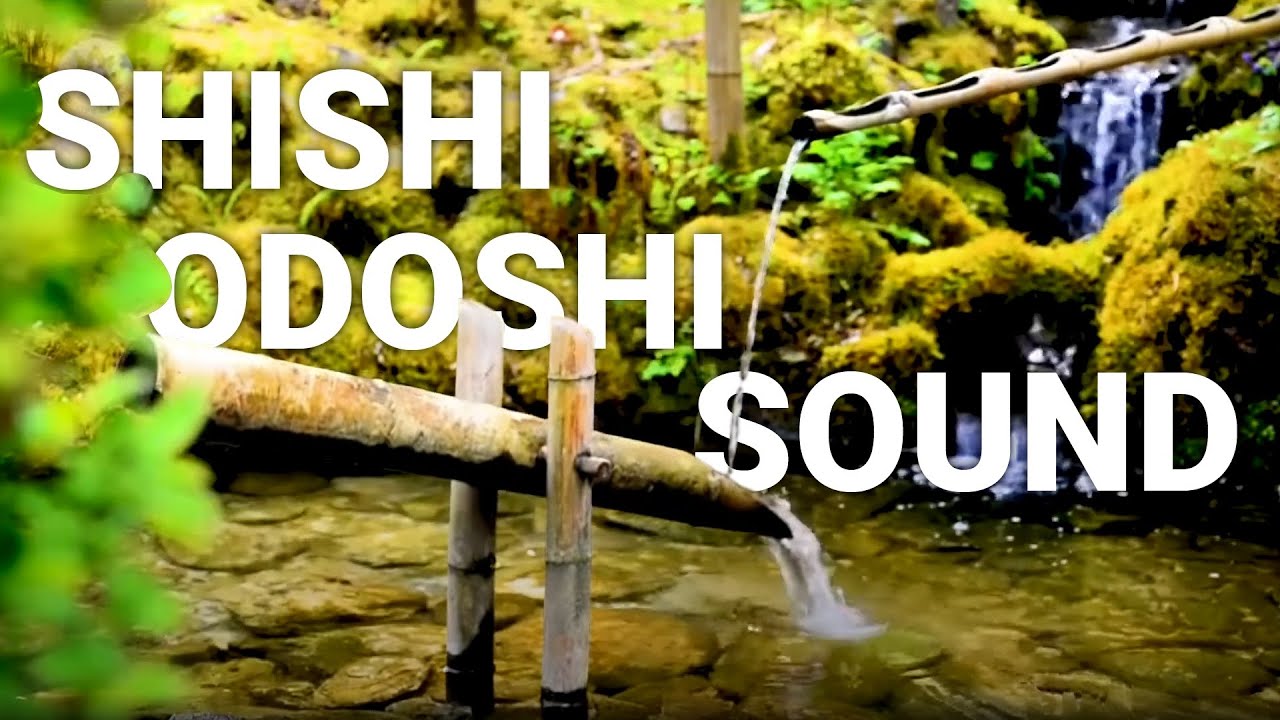 Peaceful sound of Shishi Odoshi in Japanese Zen Garden - bamboo fountain for Study, Deep sleep, ASMR