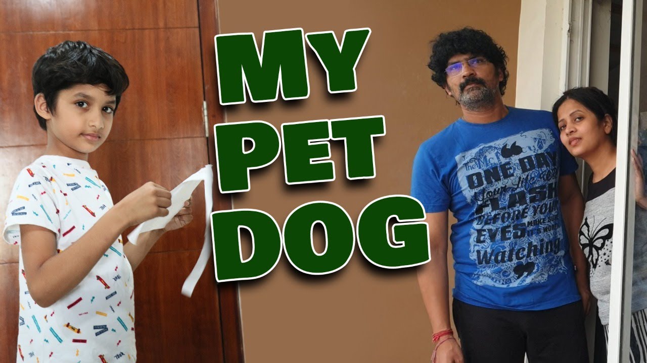 It's My dog | Surprise Reactions on My Son's Special Pet Dog | Vlog | Sushma Kiron