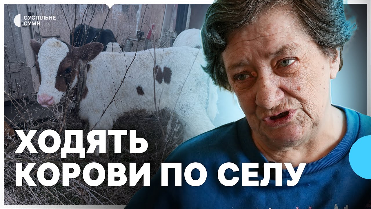 “Ходять свині й корови з телятами по селу, бо хати розбили”: ситуація у Запсіллі на Сумщині