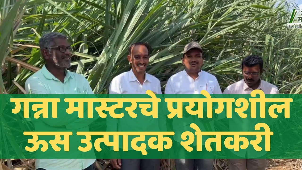 ऊस उत्पादक | श्री. श्रीकांत गवळी | गन्ना मास्टर | डॉ अंकुश चोरमुले | विजय मगदूम | प्रसाद पवार |