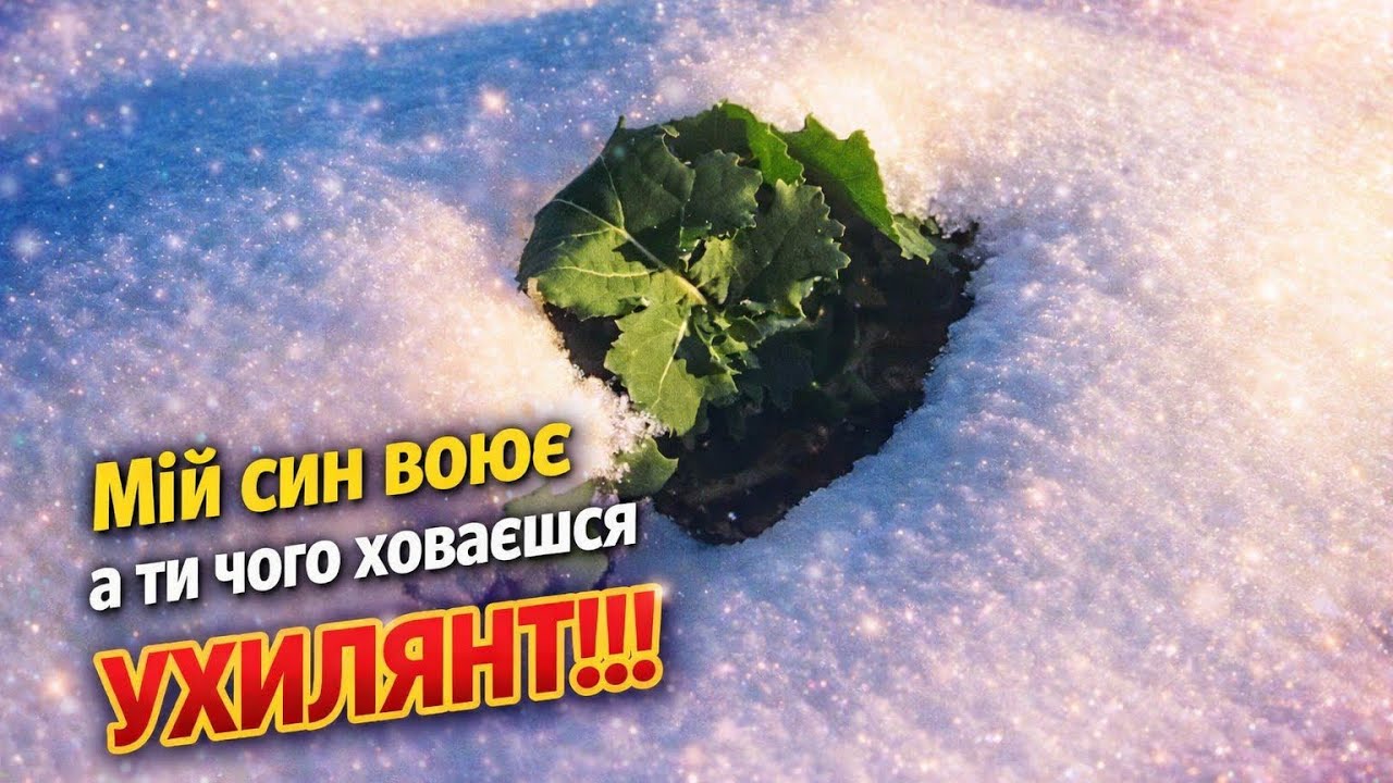 Якщо мій син воює ,то повинні воювати всі !!! 