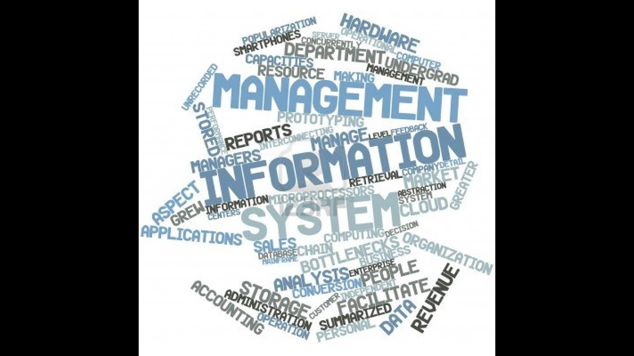 MSI 1 - Introduction au Management des Systèmes d'Information