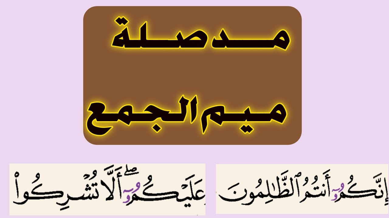 أحكام ميم الجمع عند ورش _ مــــد صلة ميم الجمع  (ورش)_