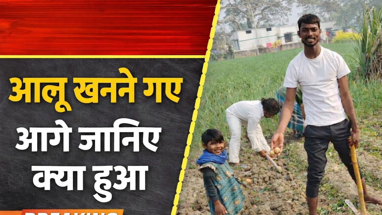 आलू खोदने गए | आगे जानिए क्या हुआ | गांव का सच | Mintu Shardar Vlogger