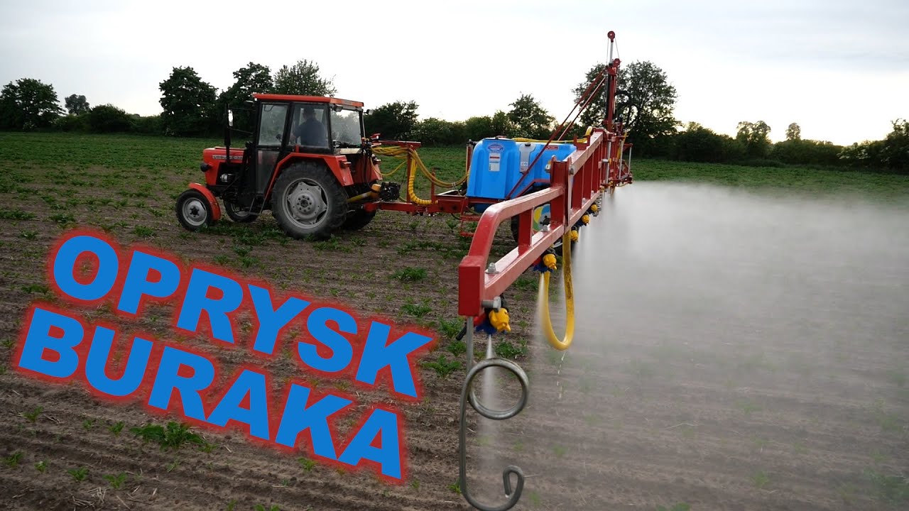 Opryskiwacz Biardzki P-329/22 + Ursus C-330 - Oprysk buraka cukrowego przeciw mszycom