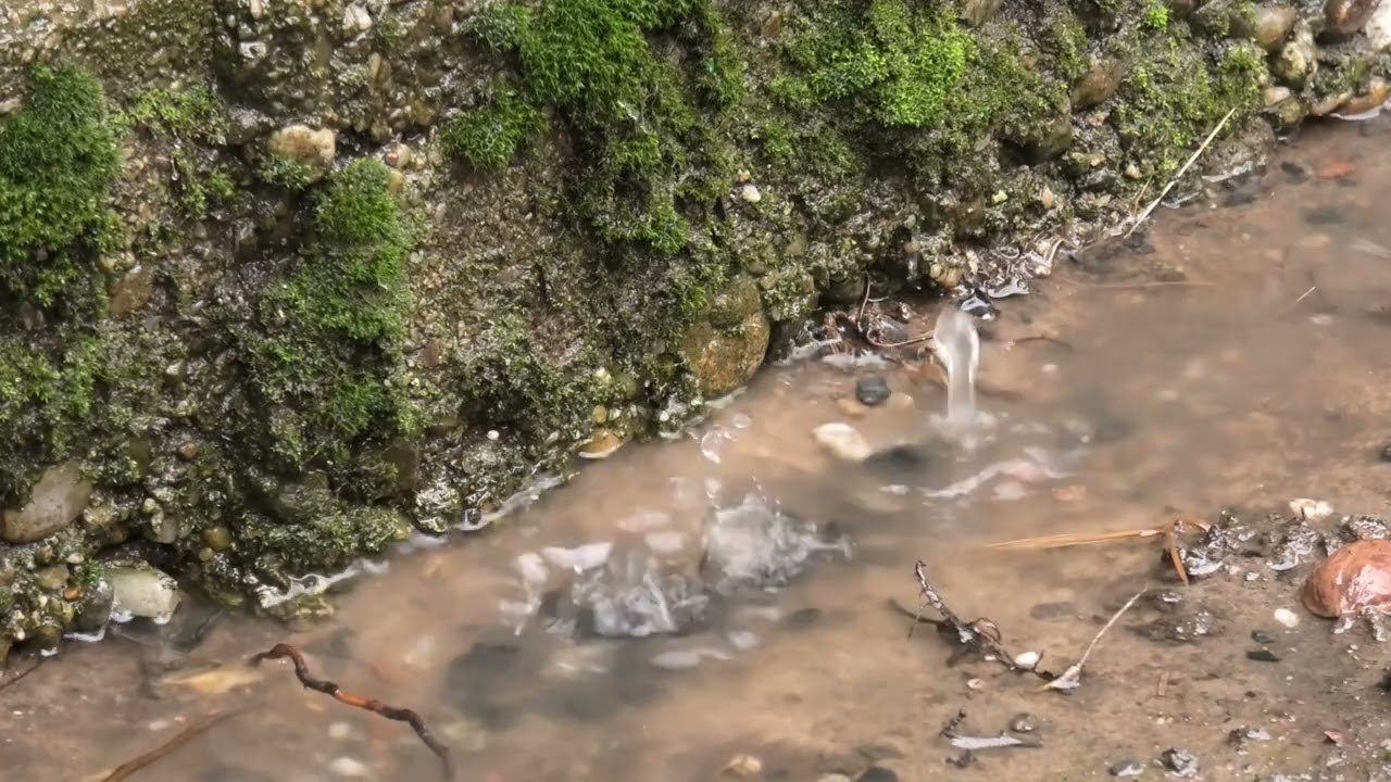Relax with the sound of water droplets