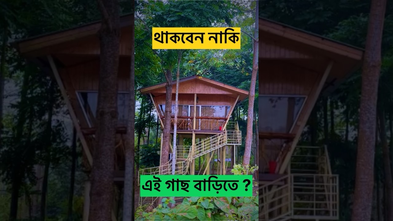 গাছবাড়ি | Jungle Tour from Kolkata