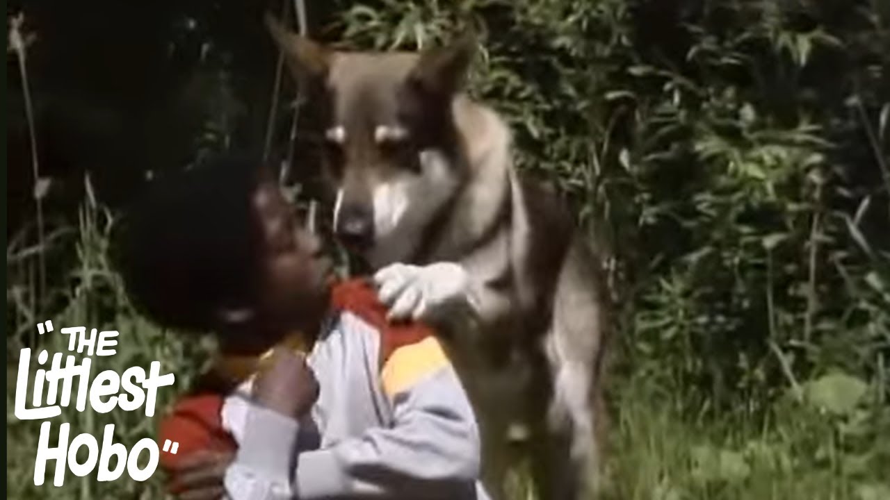 Finders Keepers | The Littlest Hobo | Season 4 | Episode 5