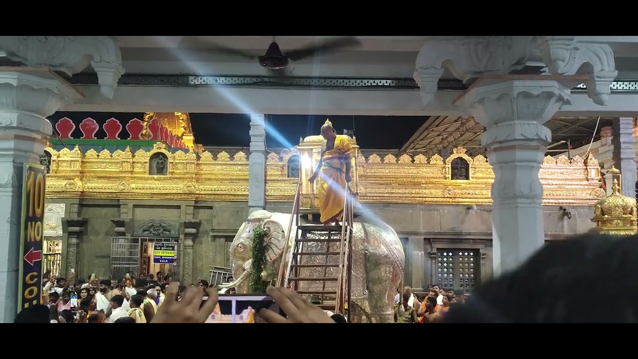 Today Mantralayam temple 30-10-3025 darshanam
