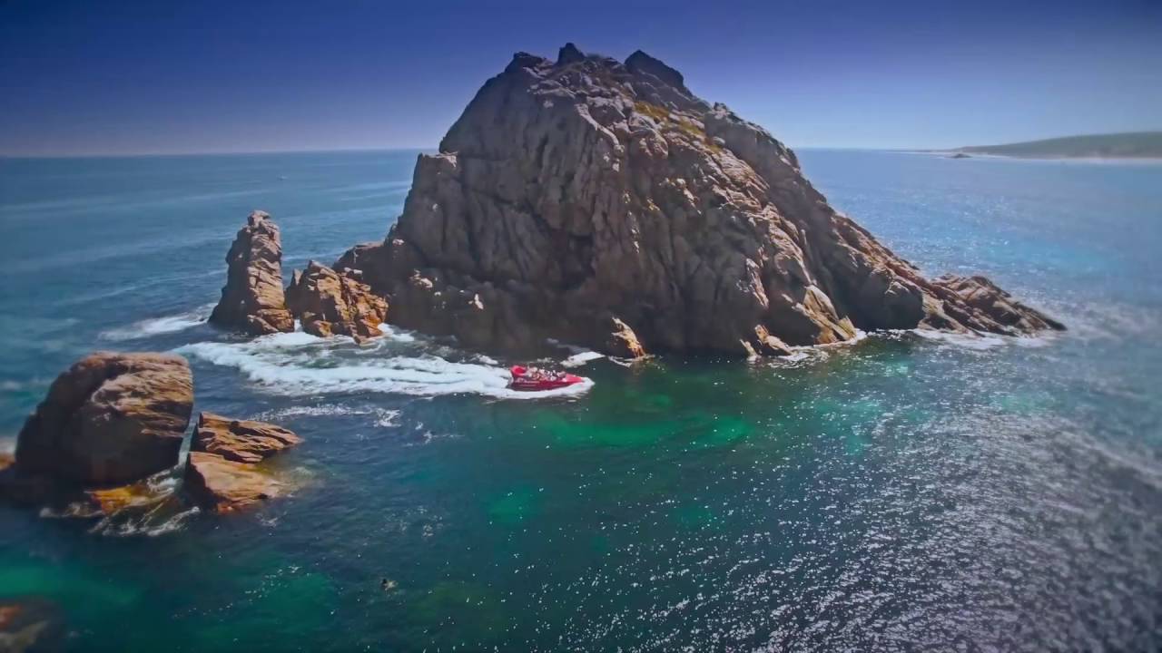 Jet Adventures Sea Safaris