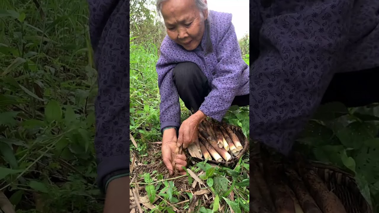 Forest Life and Funny Food - Chinese Tik Tok #281