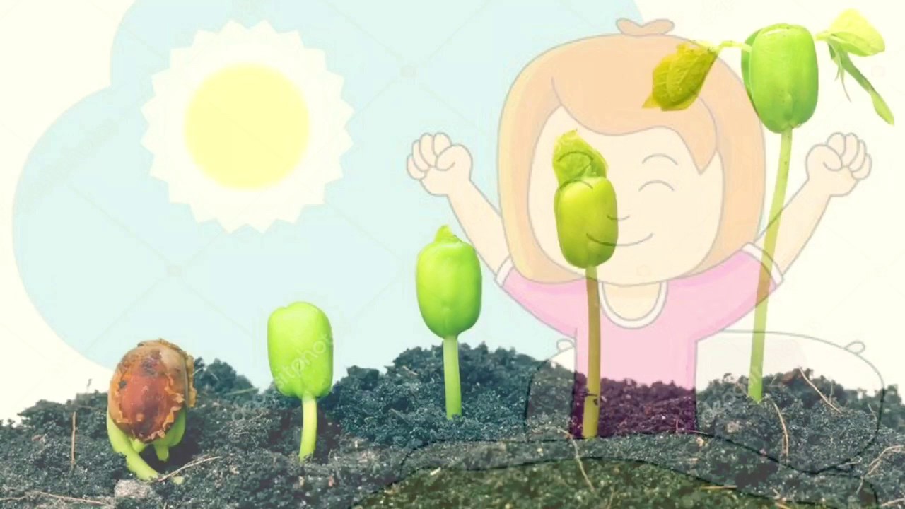 In my Garden - Raffi