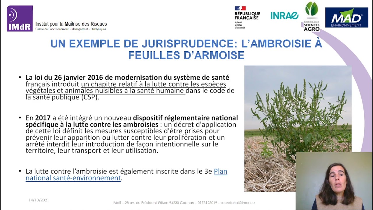 WebConférence « Management des risques écologiques : exemple des espèces exotiques envahissantes »