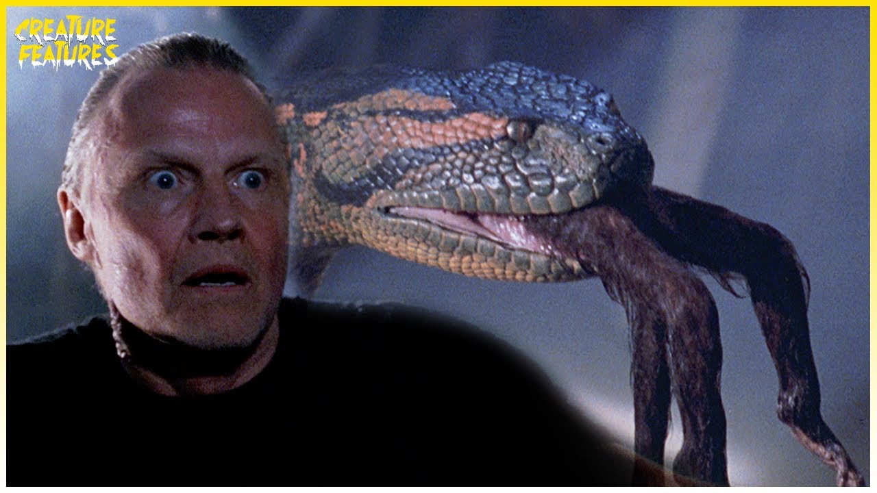 Anaconda Attacks By Night | Anaconda | Creature Features