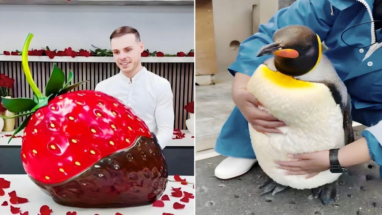 Try Not To Say WOW Challenge! Oddly Satisfying Video that Delights Your Eyes. Ep29