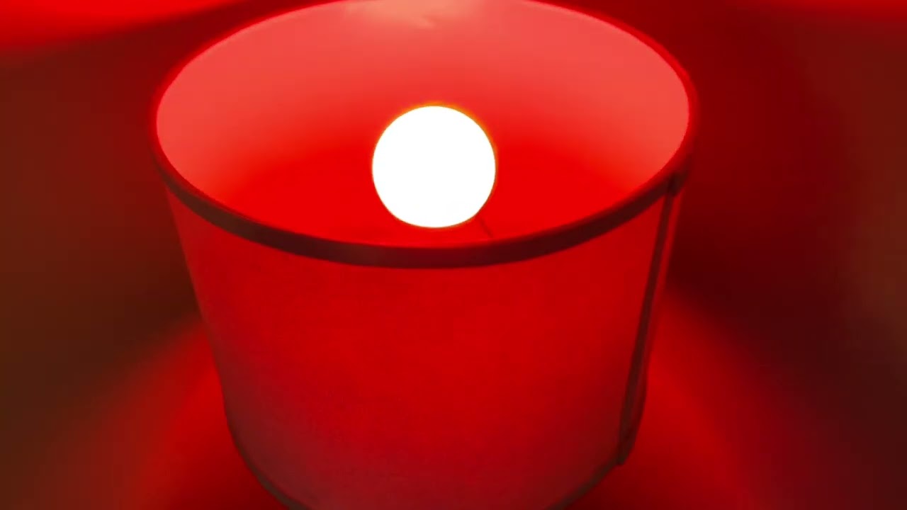 Sengled Smart Light Bulbs REVIEW