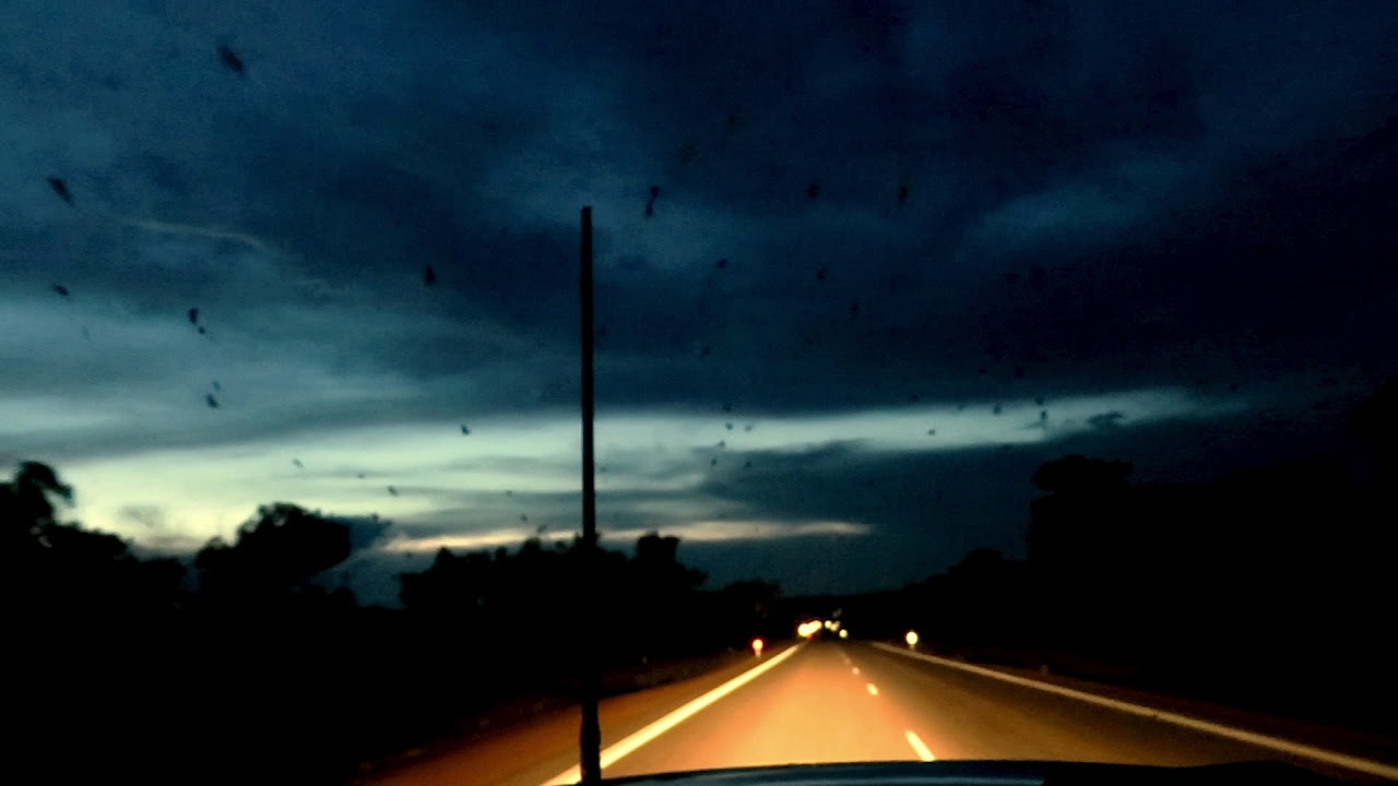Black flying foxes (Pteropus alecto) in the Kimberley