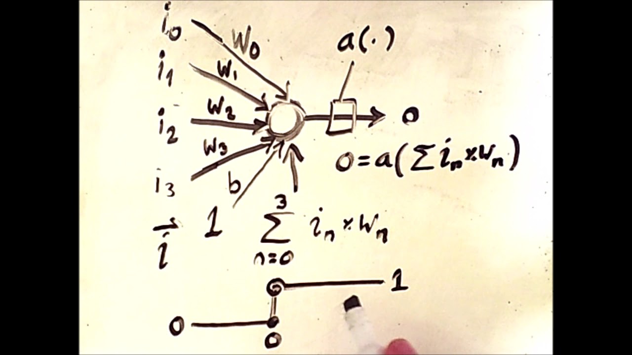 Perceptrons: The Building Blocks of Neural Networks
