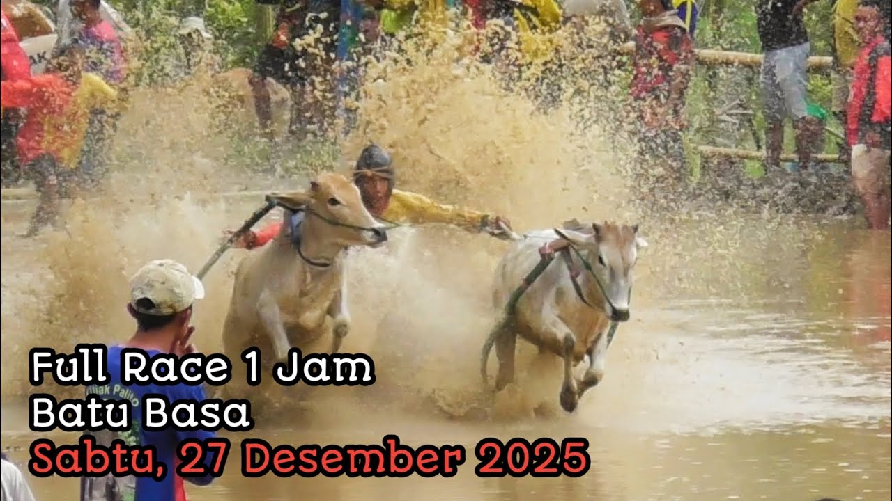 Full Race❗Mambangkik Batang Tarandam ❗Pacu Jawi Batu Basa. Sabtu 27 Desember 2025