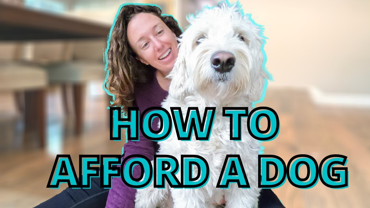 HOW TO AFFORD A DOG ON A BUDGET (all the puppy costs exposed!)