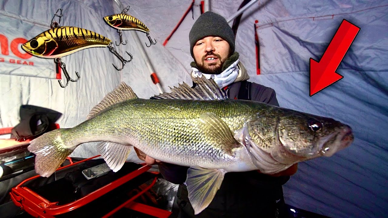 Rattling Up BIG Lake Winnipeg Walleyes! Shallow Water Bite is ON! (Ft. Frostbite Team)