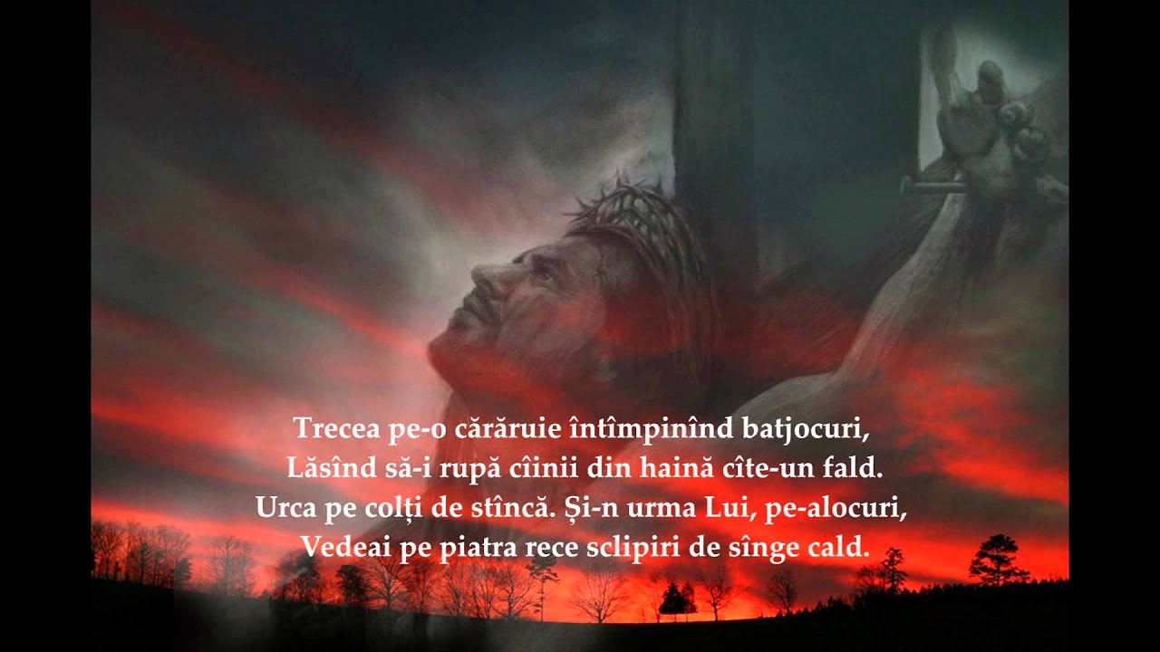 Am cautat IUBIREA, de Costache Ioanid
