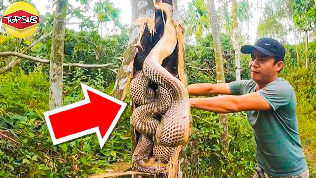 Kalau Tak Ada Orang Record, Mesti Tak Ada Orang Percaya (Susah Nak Percaya)