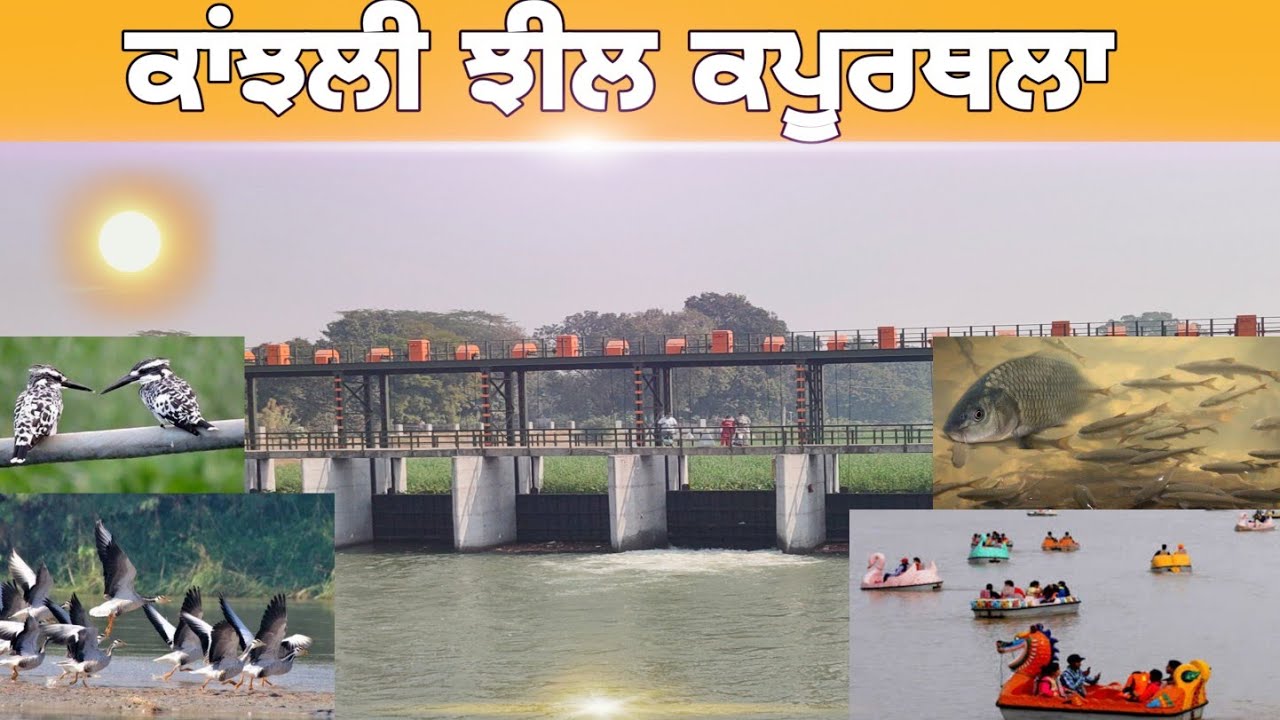 kanjali kapurthala Punjab