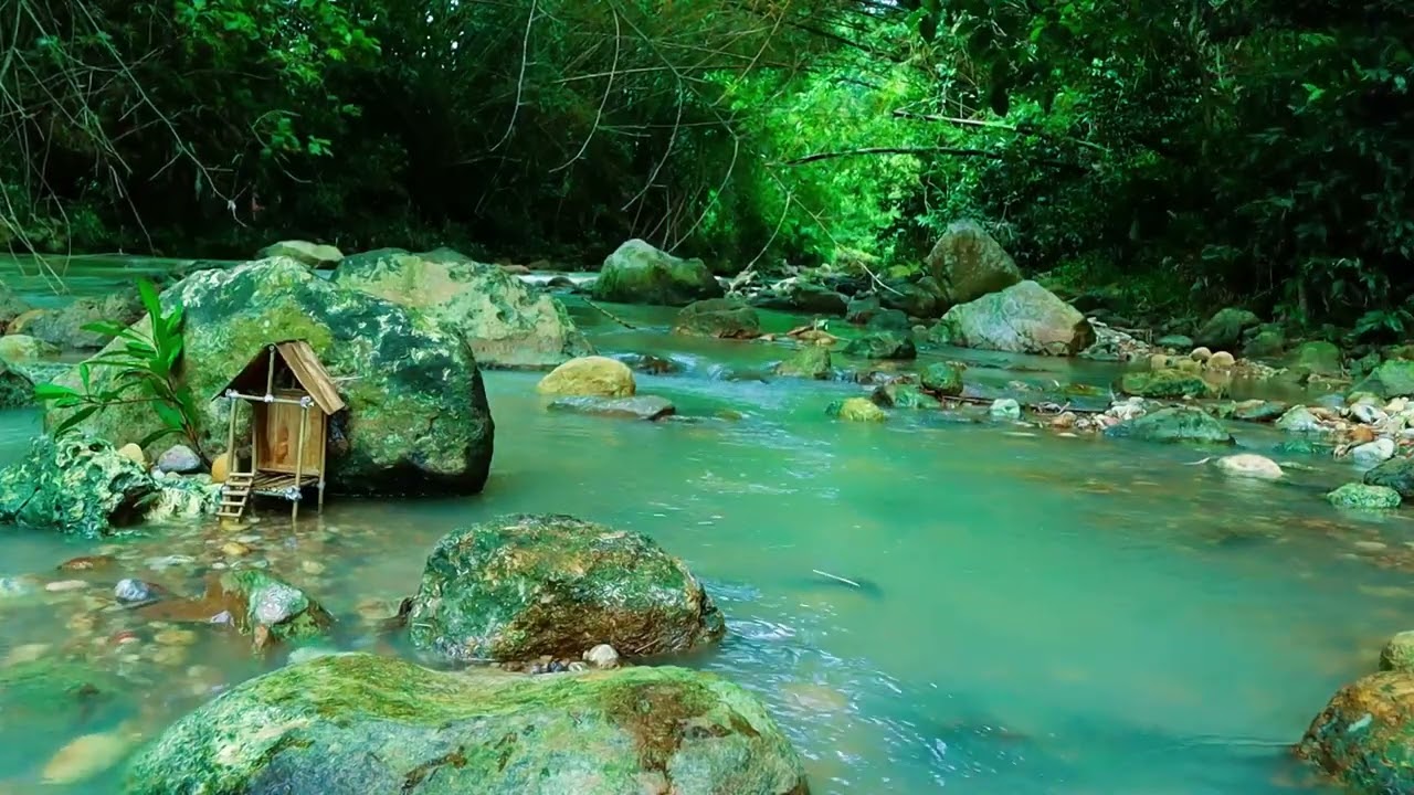 Forest Cabin & Clear River Sounds | 2 Hours of Pure Relaxation