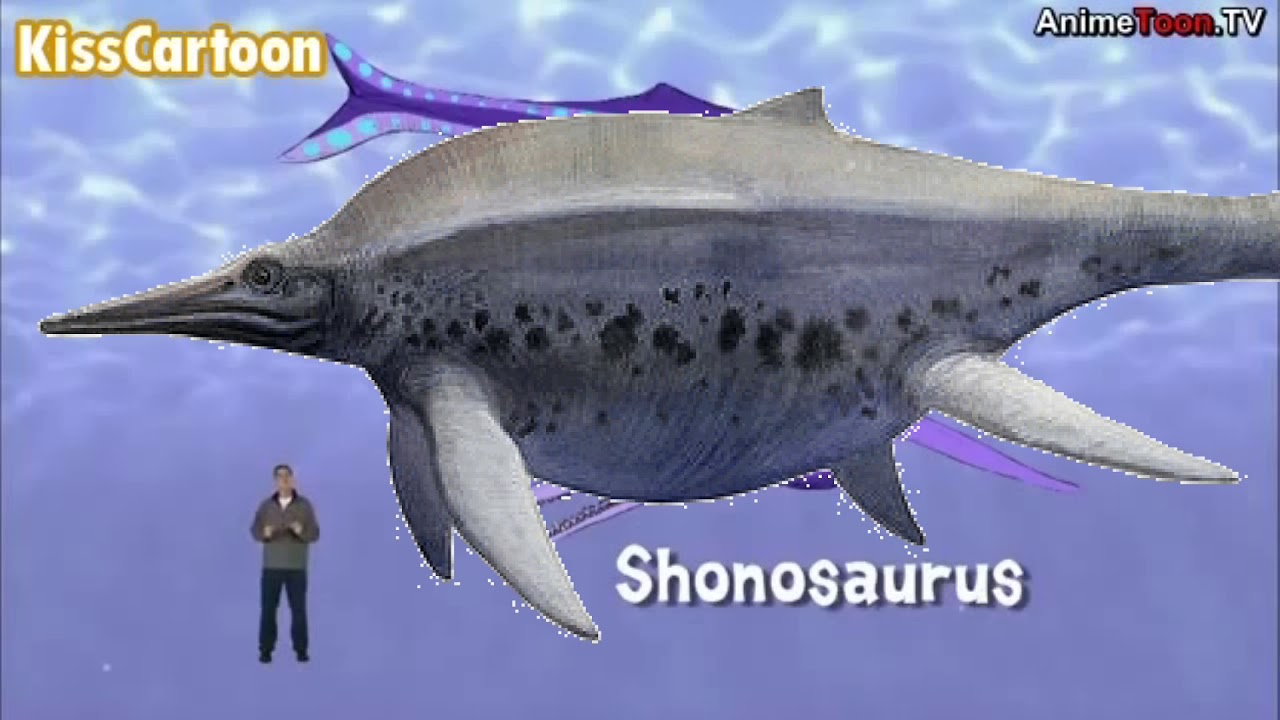 Dinosaur Discoveries Shonisaurus