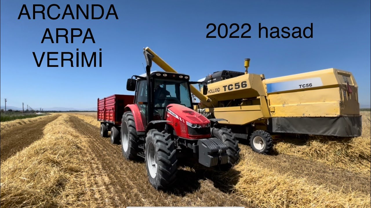 Arpa hasadı 2022 | arcanda arpa verimi | massey ferguson 5440