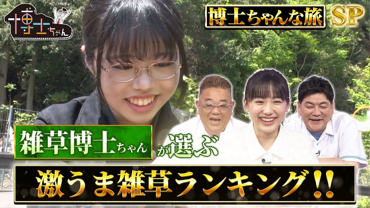 芦田愛菜も絶賛⁉ 雑草博士ちゃんが選ぶ激うま雑草ランキング‼｜#サンドウィッチマン＆芦田愛菜の博士ちゃん #TVer で最新話配信中！