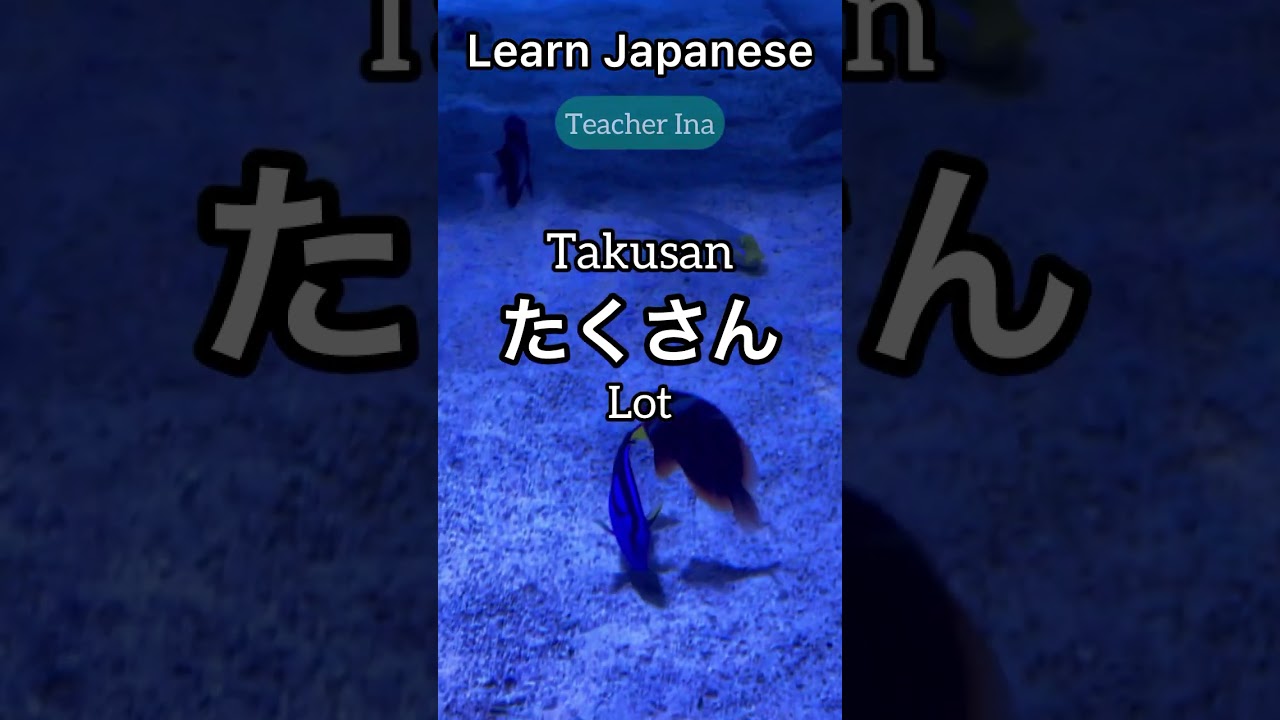 Learn Japanese To English🇯🇵