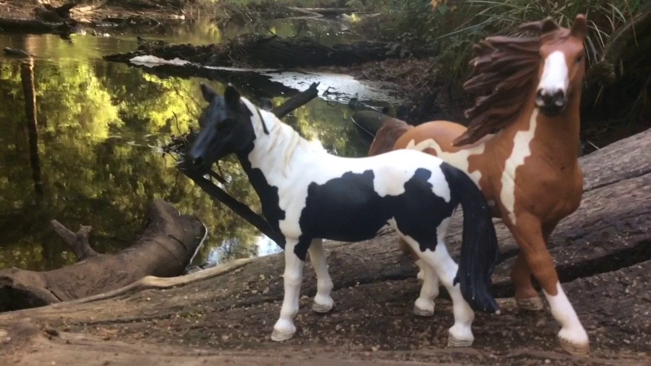 Riding Free Schleich Music Video